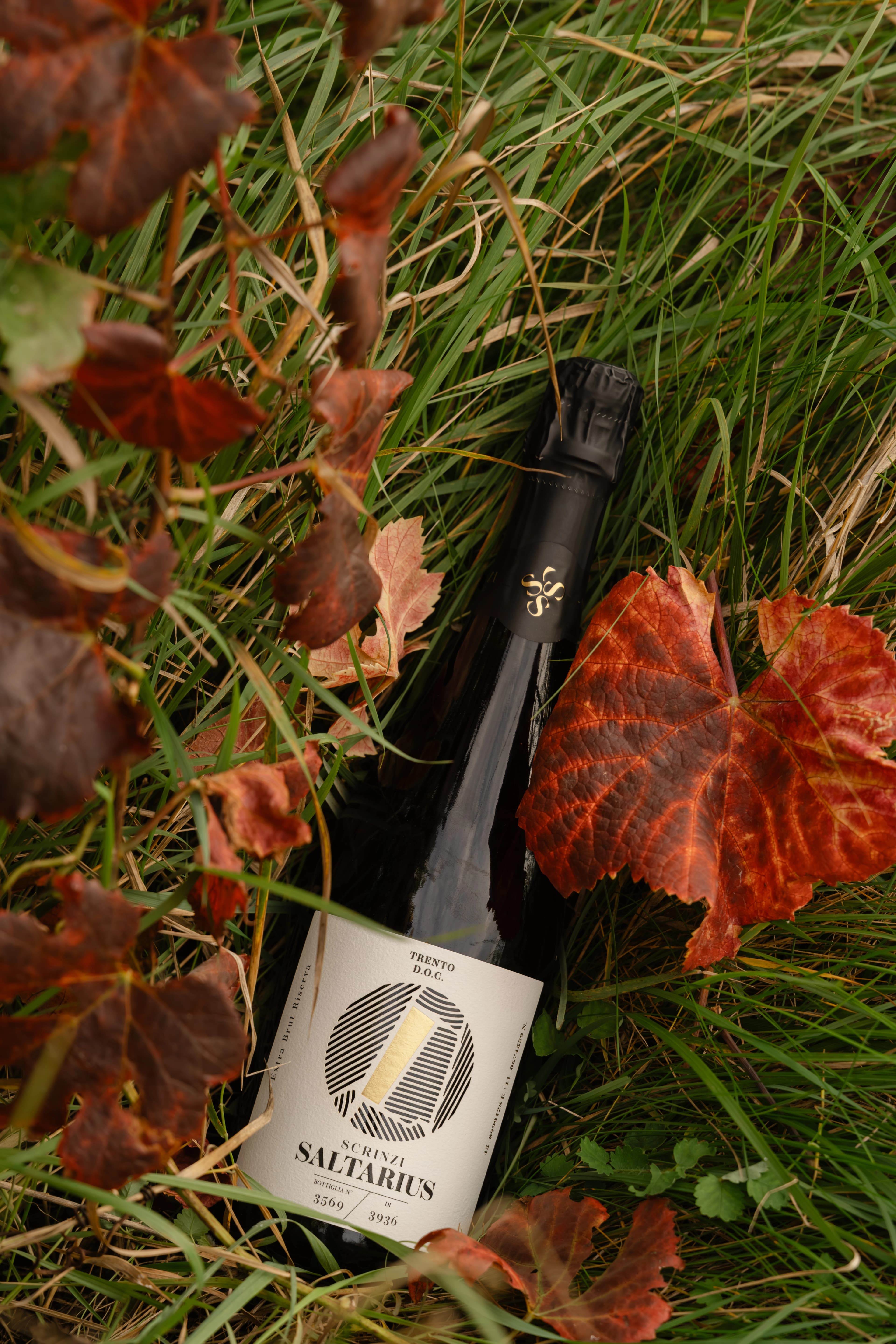 Azienda Agricola Scrinzi | Saltarius