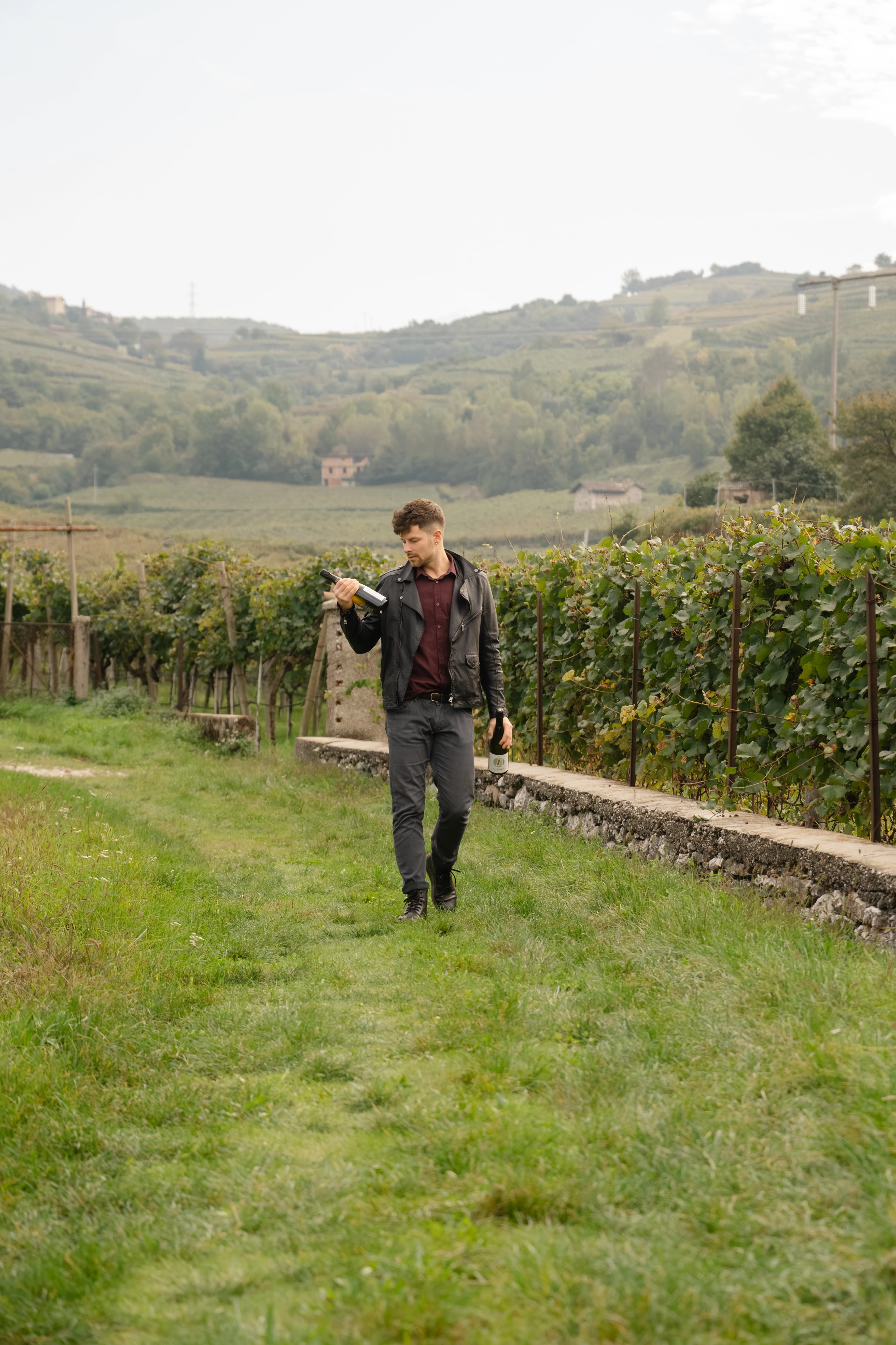 Spumante Saltarius Trento DOC di Scrinzi